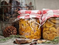 Как закрыть грибы в банки на зиму: пошаговые рецепты Заготовка грибов матрешек на зиму