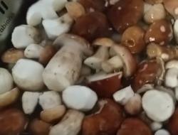 Рецепт маринованных грибов на зиму в домашних условиях — пошаговое приготовление без стерилизации в банках Как закручивать грибы