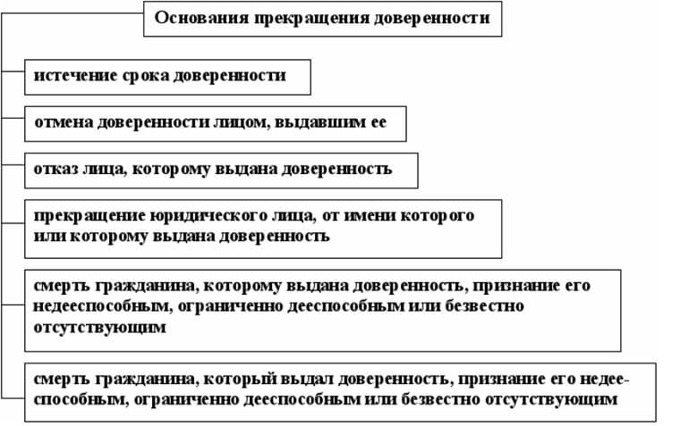 Схема виды представительства в гражданском праве